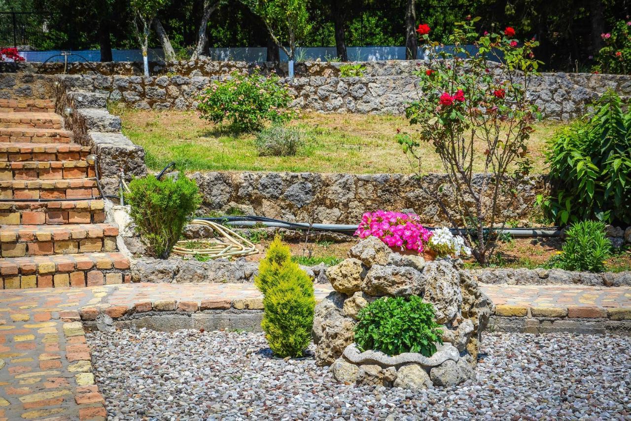 Penelope Apartment Hotel Dassia  Dış mekan fotoğraf