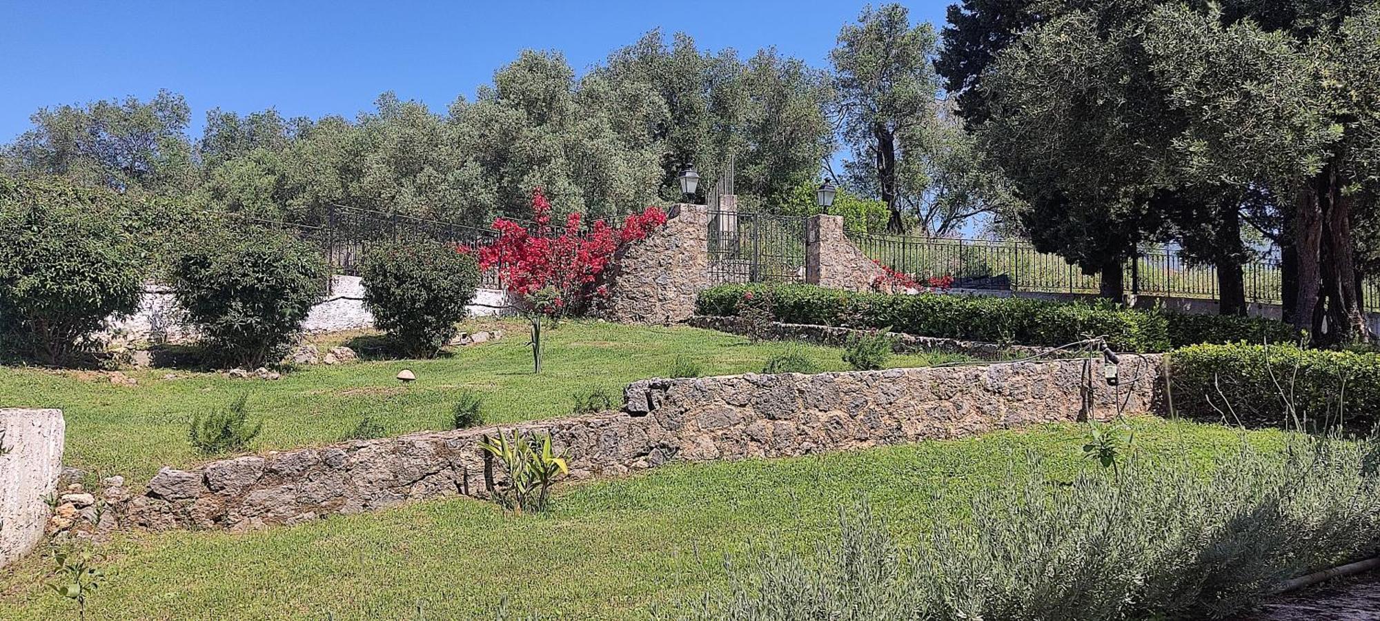 Penelope Apartment Hotel Dassia  Dış mekan fotoğraf